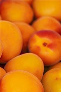 Apricots Notebook
