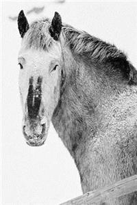 2019 Daily Planner Winter Theme Horses In Snow 384 Pages