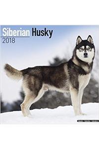 Siberian Husky Calendar 2018
