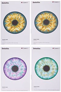 Deloitte International 2018 Pack