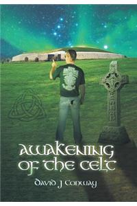 Awakening of the Celt