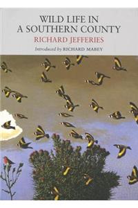 Wild Life in a Southern County