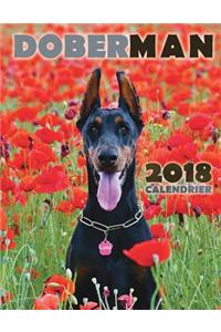 Doberman 2018 Calendrier (Edition France)