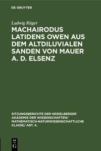 Machairodus Latidens Owen Aus Dem Altdiluvialen Sanden Von Mauer A. D. Elsenz