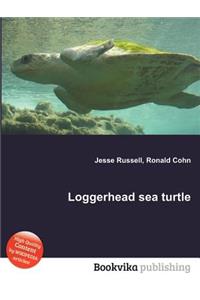 Loggerhead Sea Turtle