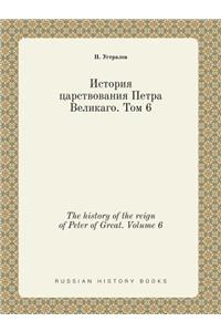The History of the Reign of Peter of Great. Volume 6