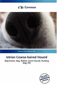 Istrian Coarse-Haired Hound