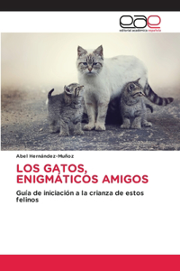 Los Gatos, Enigmáticos Amigos