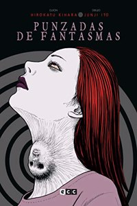 Punzadas de fantasmas (ed. flexibook) (Segunda edicion)