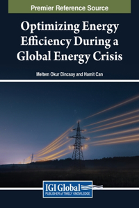 Optimizing Energy Efficiency During a Global Energy Crisis