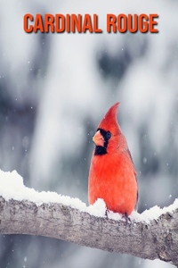 Cardinal Rouge