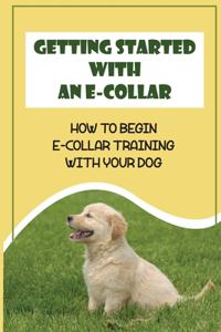 Getting Started With An E-Collar