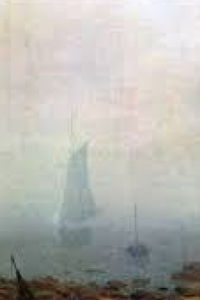 Nebbia