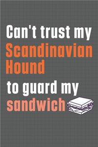 Can't trust my Scandinavian Hound to guard my sandwich