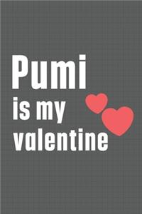 Pumi is my valentine: For Pumi Dog Fans