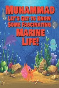Muhammad Let's Get to Know Some Fascinating Marine Life!