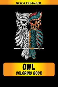 Owl Coloring Book