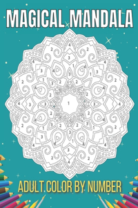 Magical Mandala Adult Color By Number