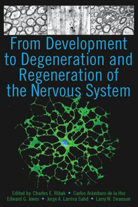 From Development to Degeneration and Regeneration of the Nervous System