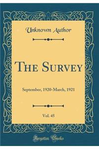 The Survey, Vol. 45: September, 1920-March, 1921 (Classic Reprint)