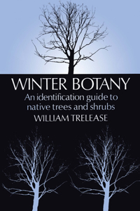 Winter Botany