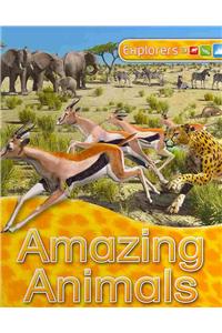 Explorers: Amazing Animals