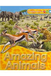 Explorers Amazing Animals