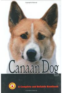 Canaan Dog