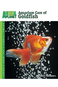 Aquarium Care of Goldfish