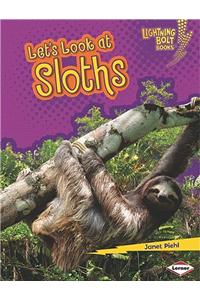 Let's Look at Sloths