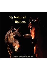 My Natural Horses