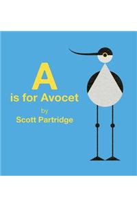 A is for Avocet