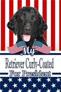 My Retriever Curly-Coated for President