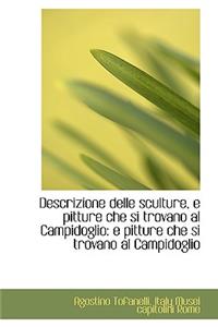 Descrizione Delle Sculture, E Pitture Che Si Trovano Al Campidoglio: E Pitture Che Si Trovano Al CAM