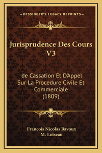 Jurisprudence Des Cours V3