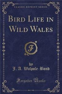 Bird Life in Wild Wales (Classic Reprint)