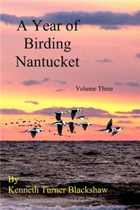 Year of Birding Nantucket