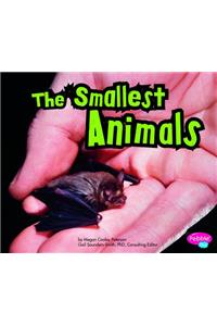 Smallest Animals