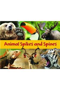 Animal Spikes and Spines