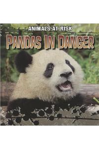 Pandas in Danger