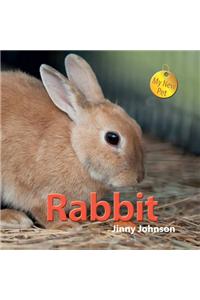 My New Pet: Rabbit