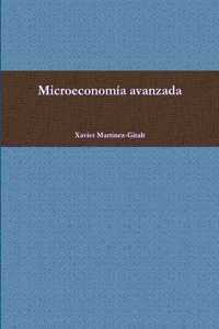 Microeconomía avanzada