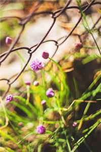 Blooming Purple Chives Journal