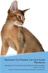 Abyssinian Cat Presents