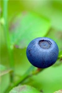 Blueberry Journal