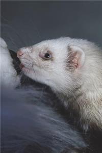 The Polecat Journal