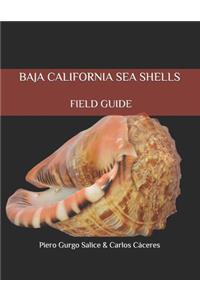Baja California Seashells Field Guide