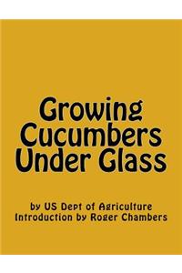 Growing Cucumbers Under Glass