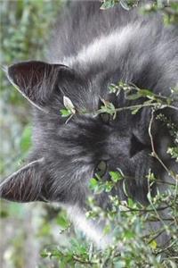 The Siberian Cat Portrait Journal