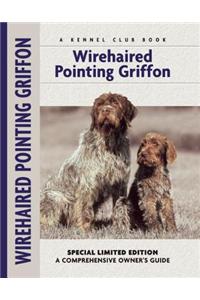 Wirehaired Pointing Griffon